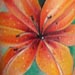 tattoo galleries/ - Very bright flower